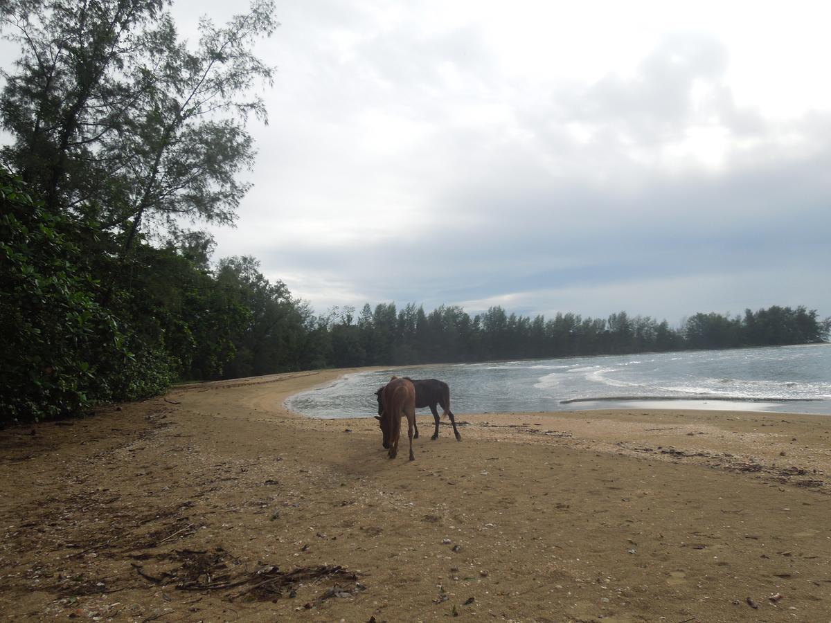 Koh Thmei Resort Phumi Kang Keng Esterno foto